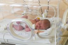Premature Newborn Baby In The Hospital Incubator. Neonatal Intensive Care Unit