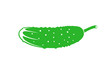Cucumber logo. Isolated cucumber on white background