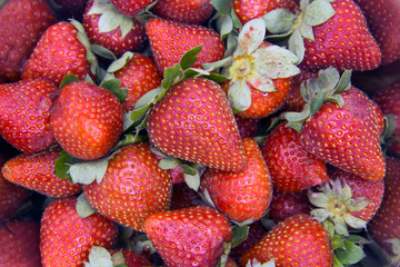 Bunch of red fresh strawberries