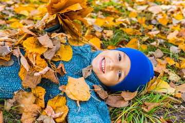 Poster - cheerful boy lying in the foliage. mellow autumn