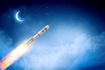 Wall Mural - rocket in the sky. mixed media