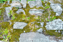 Broken And Destroyed Old Cement Blocks, Ground Between Them With Moss And Grass