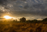 Fototapeta Na sufit - Sunset at Dusk over grassland valley