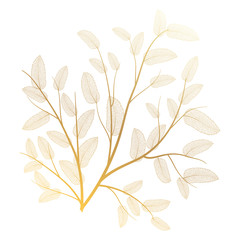 Wall Mural - branch with leaves isolated. vector illustration.