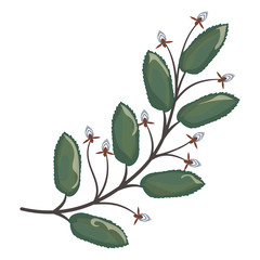 Wall Mural - art watercolor natural leaves elements. vector illustration.