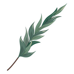 Wall Mural - art watercolor natural leaves elements. vector illustration.