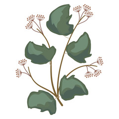 Wall Mural - art watercolor natural leaves elements. vector illustration.