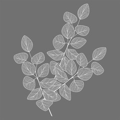Wall Mural - branch with leaves isolated. vector illustration.