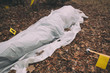 Victim of a violent crime under a sheet in a rural yard. With evidence markers and murder weapon.