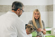 © cherryandbees - woman consulting with her veterinarian about her pet at veterinary clinic