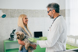 Fototapeta Zwierzęta - woman consulting with her veterinarian about her dog at veterinary clinic