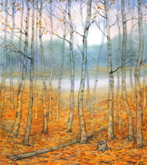 Watercolor landscape. A quiet evening in the autumn forest