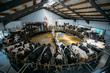Robotic automatic industrial milking rotary system in modern diary farm. Carousel milking parlor 