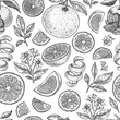 © Maria - Various citrus seamless pattern. Engraved style. Vector illustration