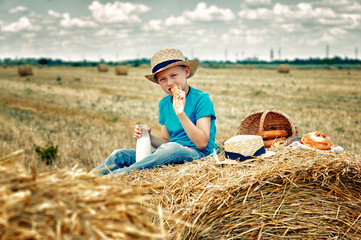 A boy on a picnic in the field on a summer day . Children's outdoor recreation