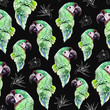 Hand drawn seamless pattern with tropical birds and exotic flowers on the black background. Watercolor green parrots mixed with white graphic images of tropical blossoms