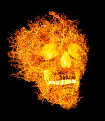 Wall Mural - skull with open jaws in flame on black