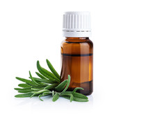 Bottle With Essential Oil And Rosemary Isolated On White Background.
