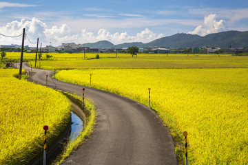 Canvas Print - beauty of Taiwan