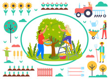 People Working In Garden Vector, Man And Woman Picking Pears From Tree On Farm. Sunflowers And Tractor, Scarecrow And Personage With Rakes, Carrots And Spade. Farmers Work
