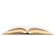 © Andrea - open book isolated on white background with copy space for your text