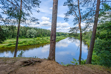 river Gauja in Latvia, view through the trees in summer