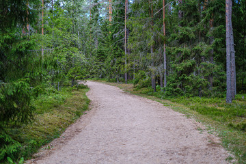 countryside gravel dust road in summer