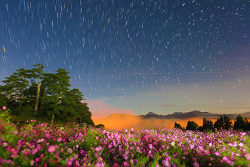 Wall Mural - beauty of Taiwan