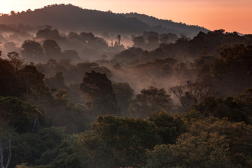 Plakat dżungla świt kostaryka pejzaż drzewa