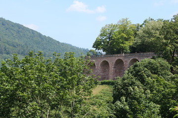 Wall Mural - Blick von Schloss Heidelberg auf die Besucherterasse