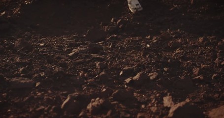 Wall Mural - Two astronauts walking on Mars