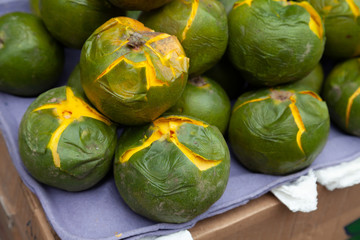 fresh lucuma fruit