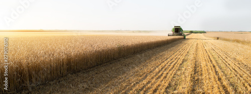 Stampa su Tela  Harvester at work in summer sun