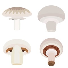 Poster - Champignon icons set. Flat set of champignon vector icons for web design