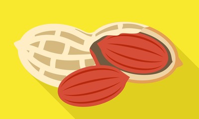 Poster - Peanut shell icon. Flat illustration of peanut shell vector icon for web design