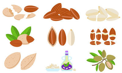 Poster - Almond icons set. Flat set of almond vector icons for web design