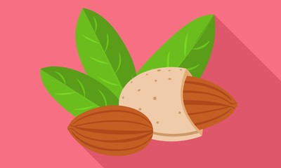 Poster - Almond icon. Flat illustration of almond vector icon for web design