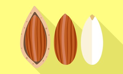 Poster - Almond shell clean icon. Flat illustration of almond shell clean vector icon for web design