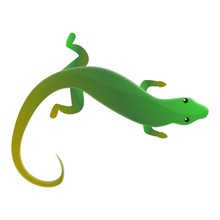 Top View Lizard Icon. Cartoon Of Top View Lizard Vector Icon For Web Design Isolated On White Background
