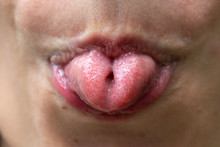 A Closeup View On The Curled Tongue Of An Adult Caucasian Person, Sticking Tongue Out Of Mouth And Curling The Edges Upwards In A Silly Manner.