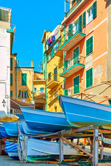 Poster - Boats in the street and old colorful houses in Riomaggiore