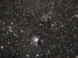 Fototapete - Deep space object NGC 7129 nebula in the constellation Cepheus  amongst stars