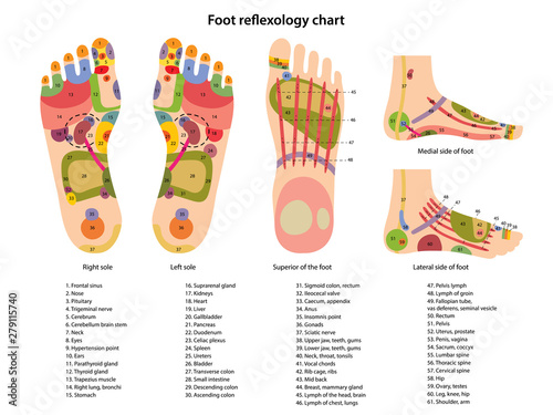 Chinese Acupuncture Foot Chart