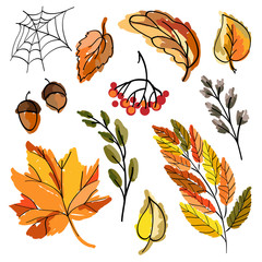 Wall Mural - autumn decoration