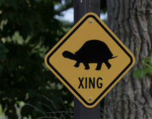 Turtle Crossing Sign 