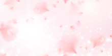 Petals Of Pink Rose Spa Background. Realistic Flying Sakura Cherry Flower Elements For Romantic Banner Design.