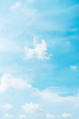 Wall Mural - web banner spring and summer season with beauty clear and bright sky and cloudy background with copy