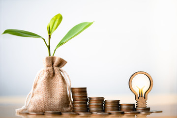 Coins in sack, Light bulb and small plant tree. Pension fund, 401K, Passive income. savings and making money. Investment and retirement. Business investment growth concept. Risk management.