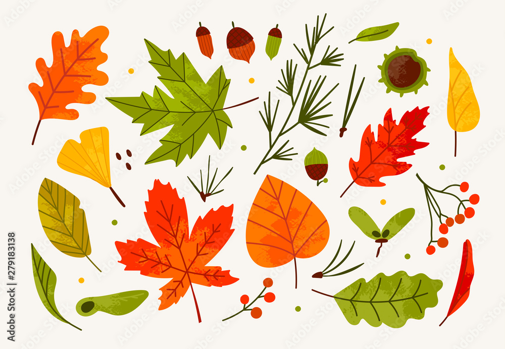 Hand drawn big vector set of various autumn leaves, rowan, acorn and chestnut. Colored trendy illustration. Flat design. Stamp texture. All elements are isolated - obrazy, fototapety, plakaty 