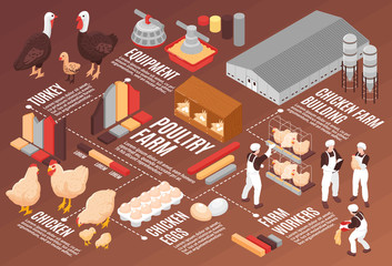 Wall Mural - Poultry Farm Isometric Flowchart 